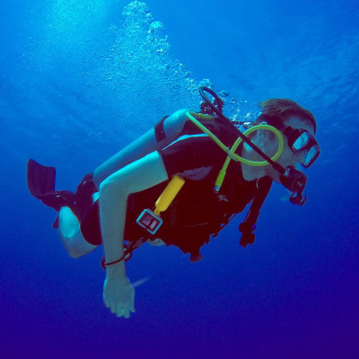 Teddy SCUBA diving in the ocean