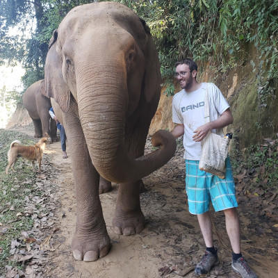 Teddy feeding an elephant in Thailand